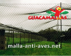 La malla anti aves se puede instalar como un techo anti aves.